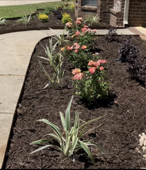 Screenshot 2026 01 16 at 5.44.53 AM